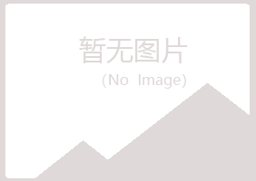 昌吉州夏岚工程有限公司